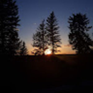 Meet your Posher, Kylie